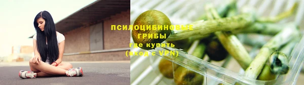 эйфоретик Баксан