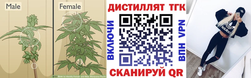 дарк нет официальный сайт  Нязепетровск  Дистиллят ТГК концентрат 