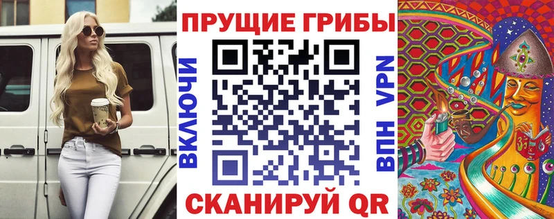 гидра онион  где купить   Нязепетровск  Псилоцибиновые грибы мухоморы 