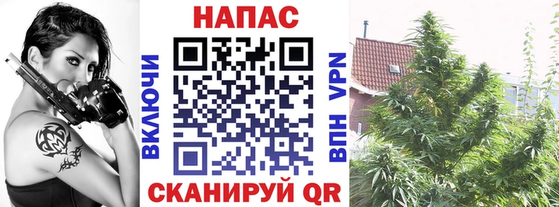 магазин продажи наркотиков  Нязепетровск  Бошки марихуана OG Kush 